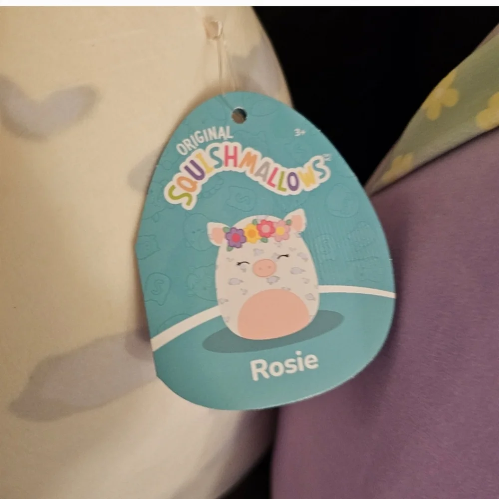 Squishmallows 16